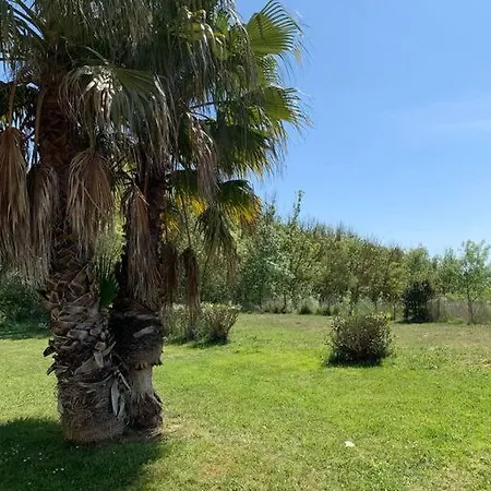 Apartment Bel T3 Avec Jardin