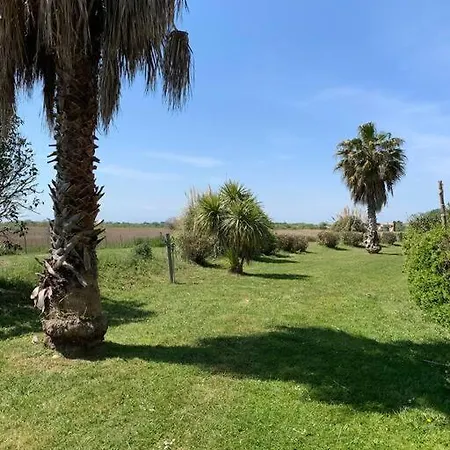 Bel T3 Avec Jardin